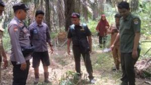 BBKSDA Riau Mitigasi Laporan Warga yang Ternaknya Mati Diduga Dimangsa Harimau