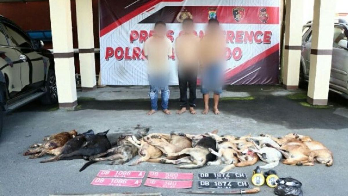 Polisi Ringkus Komplotan “Doger” Pencuri Belasan Anjing di Manado, Jejeran Anjing Mati Jadi Barang Bukti