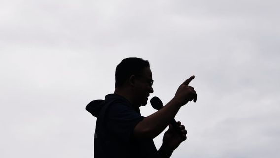 Bawaslu Bilang Anies Curi Start Kampanye, NasDem: Kalau Masa Perkenalan Pendek, Kita Kembali Beli Kucing dalam Karung