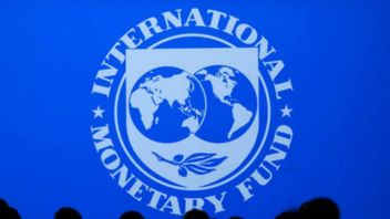 IMF Criticized Indonesian Policies