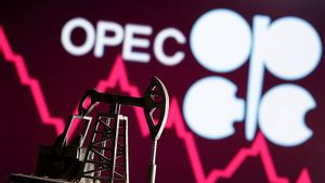 OPEC Pertahankan Prediksi Prospek Minyak Dunia akan Meningkat dalam Satu Dekade