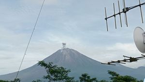 Gunung Semeru Kembali Erupsi dengan Ketinggian Letusan 700 Meter