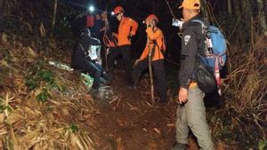 Butuh 2 Jam, Tim SAR Evakuasi Pendaki Cedera dari Gunung Tampusu Sulut