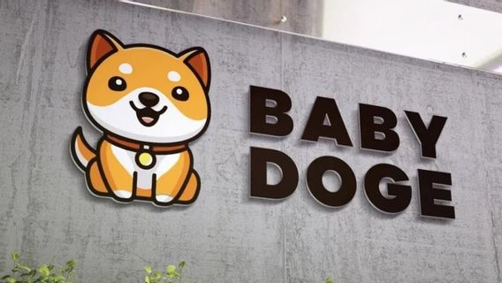 Saudara Kandung Shiba Inu, Baby Doge Coin Meroket 228,3 Persen dalam 24 Jam