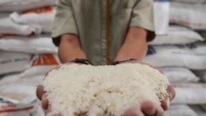 Pengamat Ingatkan Pemerintah Dampak Kebijakan Beras ke Kelompok Miskin dan Penggilingan Kecil