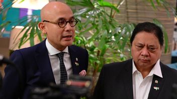印度尼西亚在2025年BRICS峰会上推动贸易,和平与世界秩序改革
