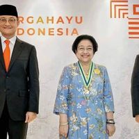 Penghargaan yang Diterima Megawati dari Presiden Jokowi Membanggakan