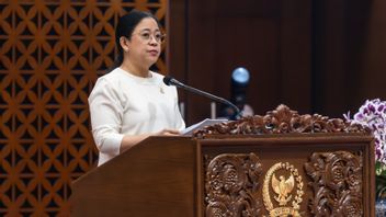 Puan Asks The DPR Commission To Evaluate 3T Health Services After Pregnant Women Are Rejected By Papua Hospital