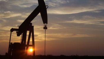 Pertamina Upstream Regional Java Notes Oil Production Realization Of 54.2 MBOPD Throughout 2024