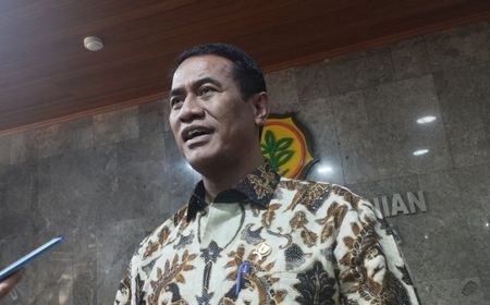 Mentan Sebut Impor Beras Berpotensi Tembus 5 Juta Ton pada 2024, Ini Penyebabnya