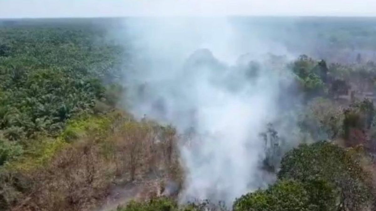 BPDB : L'incendie de terrain provoque la brume de fumée à Mukomuko