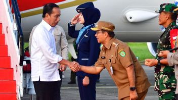 Jokowi Wants To See Preparations For The August 17 Ceremony At IKN