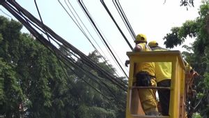 Edan! Petugas Temukan Kabel Udara Tidak Berfungsi Sepanjang 2,2 Km Milik 17 Provider di Duren Sawit