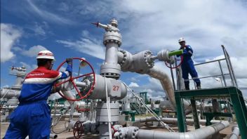 Exceeding Target, Pertamina NRE Electricity Production Reaches 6.5 Million MWh