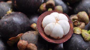 People From Guangzhou China Will Enjoy Mangosteen Fruit From Purwakarta