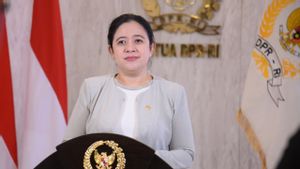 وقال بوان إن منتدى البرلمان الإندونيسي والمحيط الهادئ يجري حوارا مع دول ميلانيزيا.