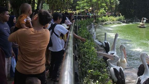 Anticipating The Increase In Visitors To Eid Holidays, Ragunan Prepares Parking Pockets To Portable Tolliets