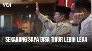 Presiden Prabowo Subianto Resmikan 218 Jembatan di Daerah Bencana dan Terpencil