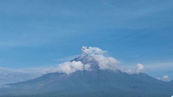 8回の噴火、スメル山は500メートルの火山灰を発射します