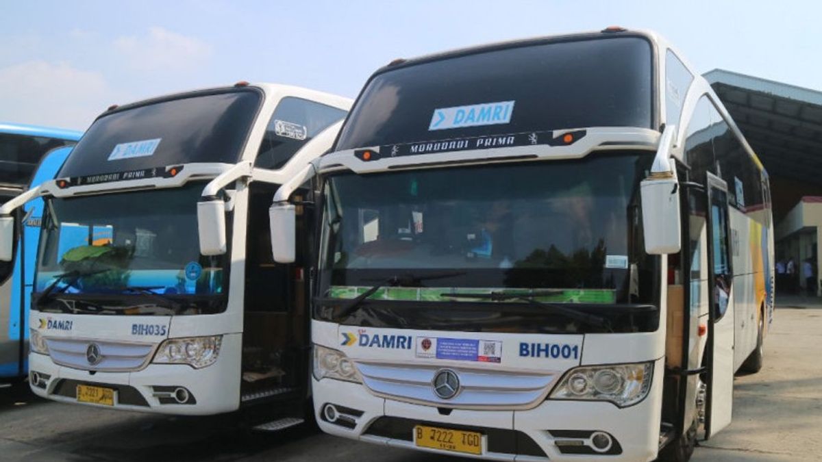 Penumpang Bus Damri di Bandara Lombok Meningkat Jelang MotoGP Mandalika