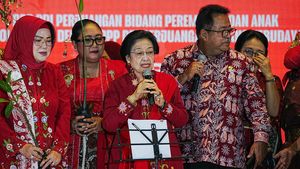 Peringati Hari Ibu, Megawati Galang Dana untuk Korban Bencana di Sumatera