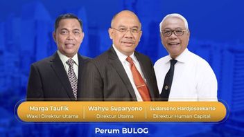 Wahyu Suparyono的简介,Erick Thohir新任命的Perum Bulog的总裁