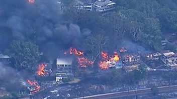 数千人のニューサウスウェールズ州民が森林火災のために避難を命じられた