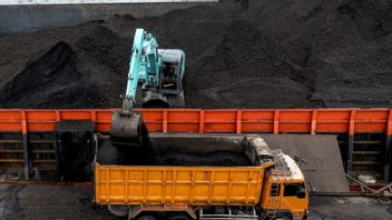 RMKE Has Transported 7.5 Million Tons Of Coal Until October 2024