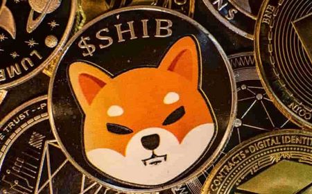 Influencer Kripto Bitboy Ancam Bongkar Identitas Pengembang Shiba Inu