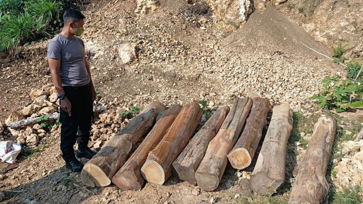 2 DPOs Of Illegal Logging In Malang Arrested By Police