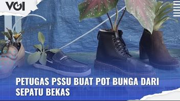 فيديو: مبدع ، مسؤول PSSU يخلق وعاء زهور من الأحذية المستعملة