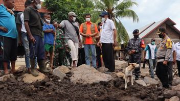 الكلاب الشم المنتشرة للبحث عن المفقودين ضحايا الفيضانات نوسا تينغارا الشرقية