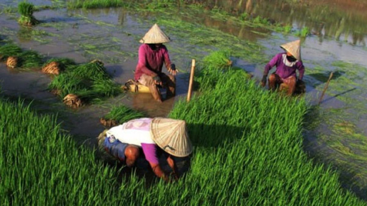 La croissance économique du Sud devrait atteindre 5,8%