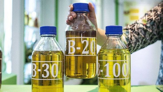 Application Of Biodiesel B35 Expected To Boost Palm FFB Prices