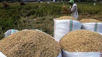 バダナスは米と穀物の政府購入価格を引き上げます
