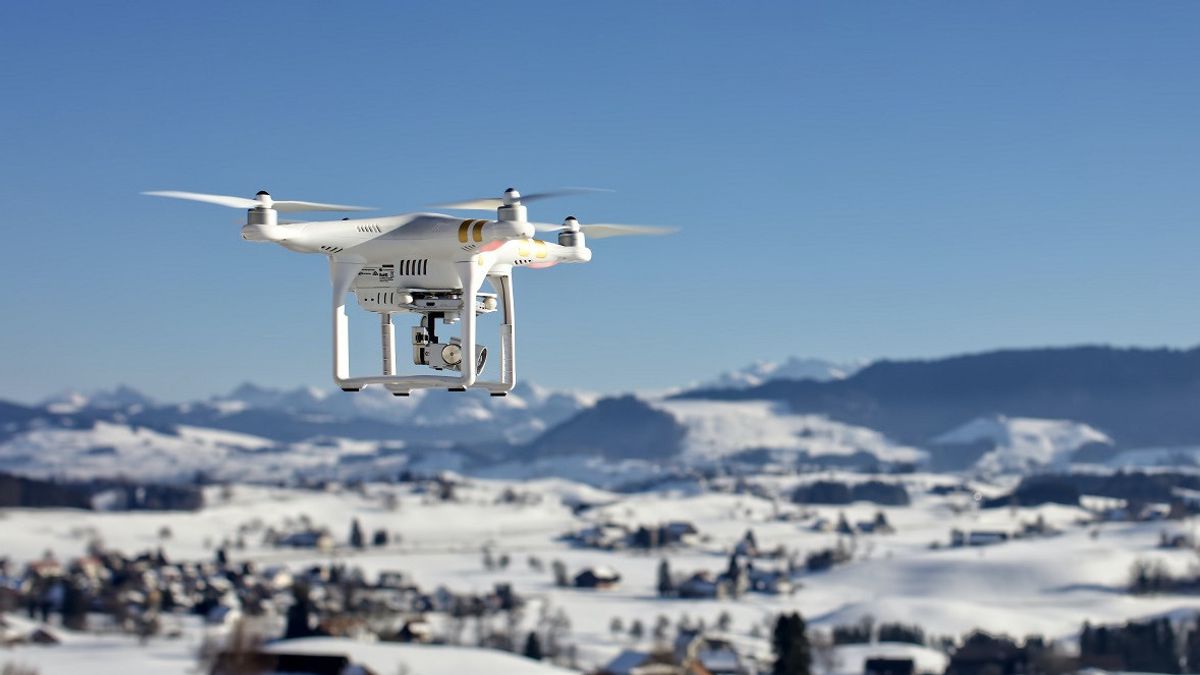 Peneliti Sebut Desain Drone di Masa Depan Bisa Mengadopsi Capung