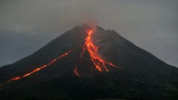 Berita BPPTKG: Gunung Merapi Luncurkan Guguran Lava Pijar Sejauh 1.200 Meter
