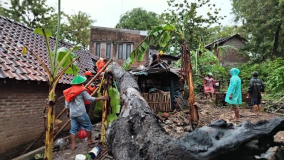 班图尔·鲁萨克(Bantul Rusak)的6所房屋在大雨中被Tumbang树击中