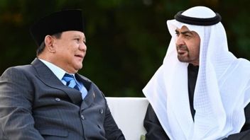 Prabowo-MBZ rencontre à Qasr Al Bahr, renforce le partenariat stratégique entre l'Indonésie et l'UEA