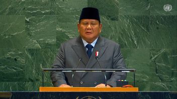 Presiden Prabowo: Kita Harus Menghentikan Bencana Kemanusiaan di Gaza, Mengakhiri Perang dan Mengakui Palestina