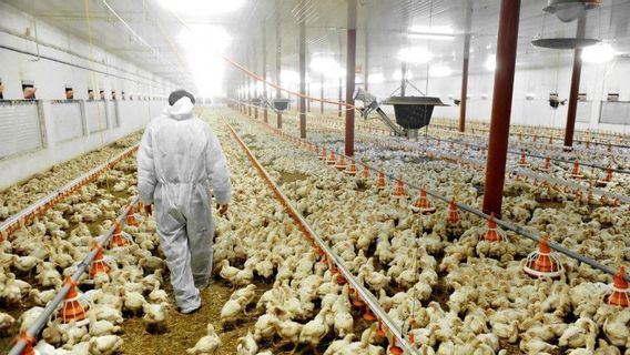 العوامل الرئيسية في تربية الحيوانات المستقبلية وفوائدها
