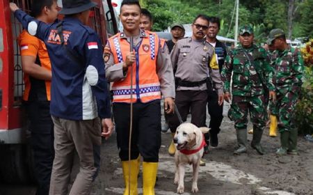 12 Orang Hilang Diduga Tertimbun Longsor di Humbahas, Polisi Terjunkan Anjing Pelacak