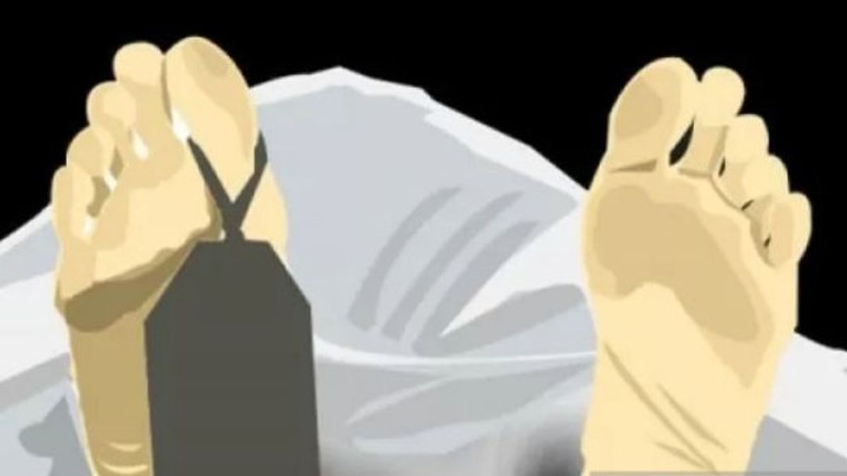توفي صبي يبلغ من العمر 3 سنوات في سوكابومي بعد عضه من قبل ثعبان أثناء النوم