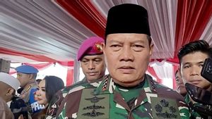 Panglima TNI Pastikan Negosiasi Opsi Utama Pembebasan Pilot Susi Air