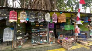  Ada Pedagang Pasar Barito Tolak Direlokasi ke Lenteng Agung, Pramono: Memang Tak Mungkin Puaskan Semuanya