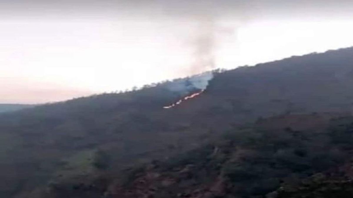メルバブ・ボヨラリ山の斜面の森が火事になった