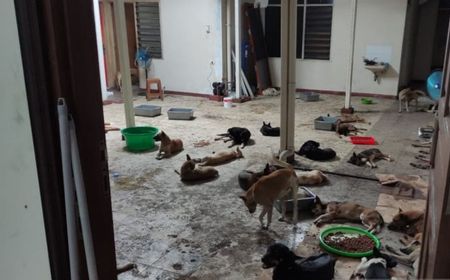 Pemkot Solo Siapkan Surat Edaran Larangan Penjualan Daging Anjing, tapi Belum Bisa Menindak