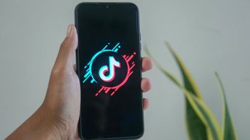 Ahead of the US Election, TikTok Requires Accounts Owned by Governments, Politicians and Political Parties in the US to be Verified