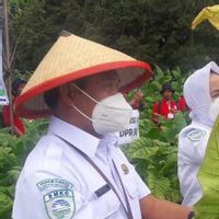 BMKG Minta Petani Tembakau Pantau Kondisi Cuaca di Musim Kemarau Basah
