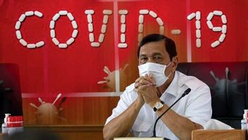 Luhut Pandjaitan Affirms That PCR Tests In Airport And Bus Station Is Abolished, Will It Change Again During Eid Homecoming?